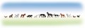 Faller Cats and dogs 154012