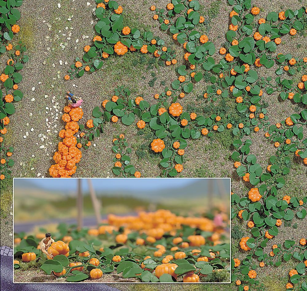 Busch 1201: Pumpkin Field