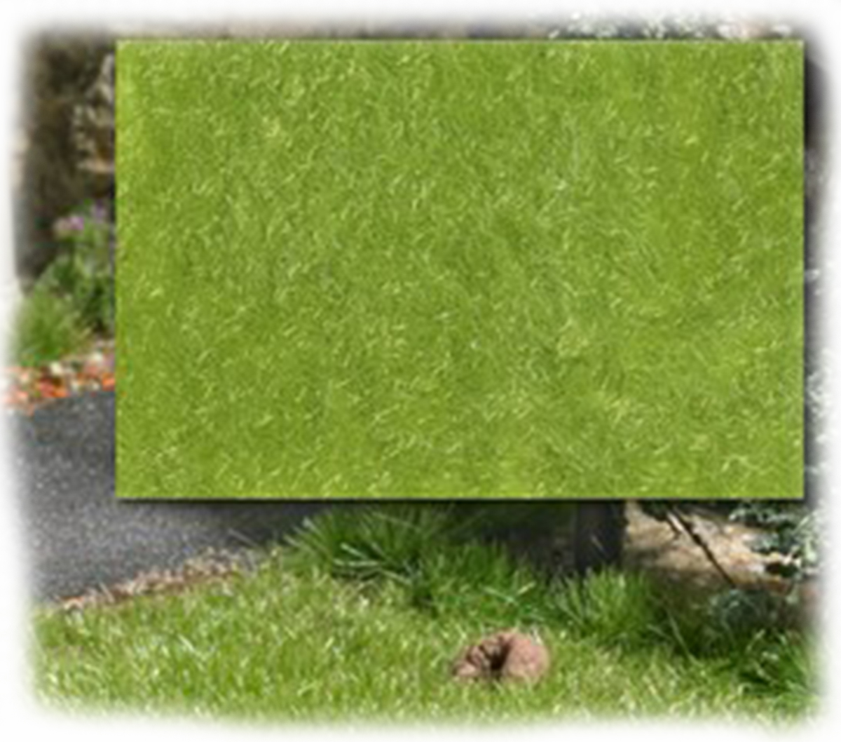 Busch 3471: Статическая трава: весна