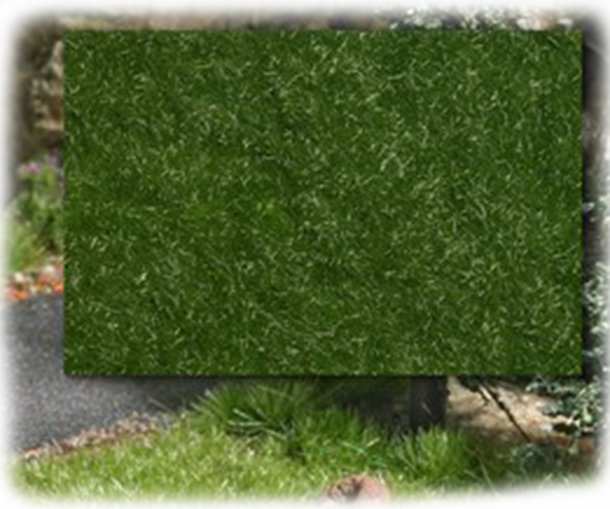 Busch 3472: Статическая трава: лето