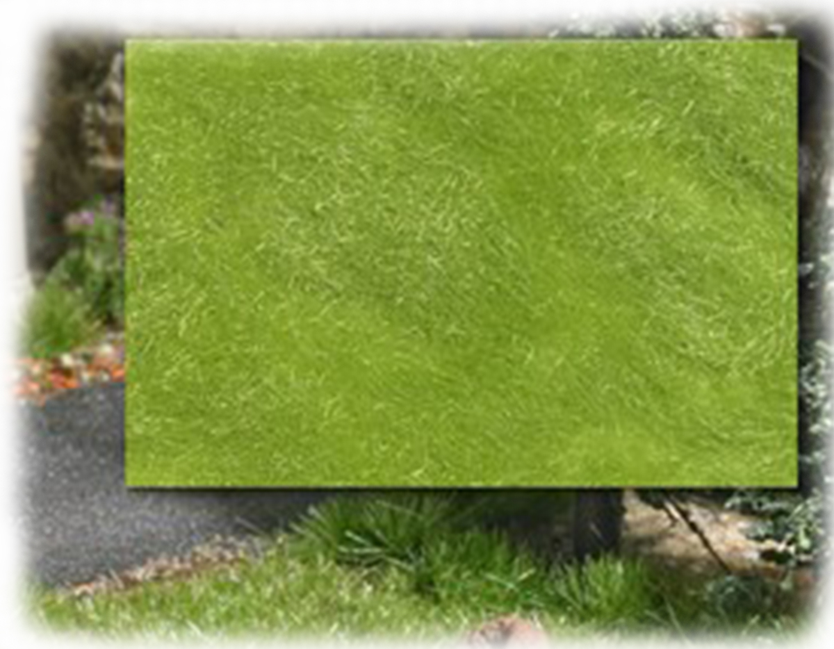 Busch 3481: Статическая трава: весна