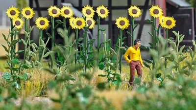 Busch 1261: Sunflower Field