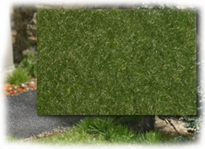 Busch 3473: Статическая трава: позднее лето