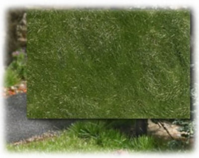 Busch 3483: Статическая трава: позднее лето