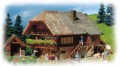 Faller 131290: Black Forest farmhouse