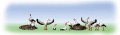 Faller 154006: Storks in their nest