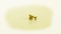 RB Model M1605: Screws 1.6 mm, 5 mm