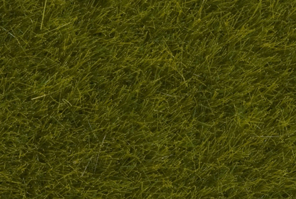 Noch 07100: Static Wild Grass, Meadow, 6 mm