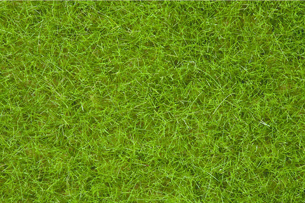 Noch 07102: Static Wild Grass, light green, 6 mm