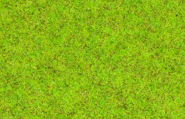 Noch 08200: Статическая трава: Весенний луг, 1,5 мм