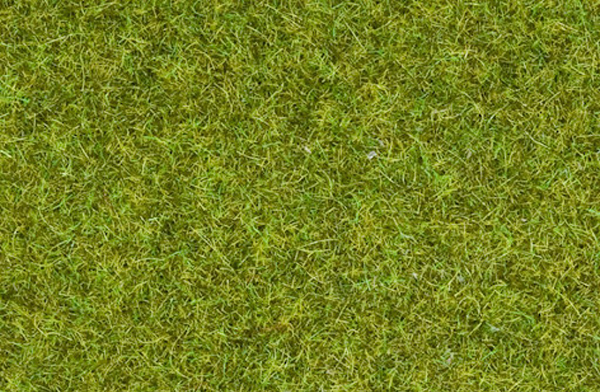 Noch 08212: Статическая трава: Луговая, 1,5 мм