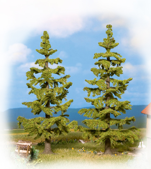 Noch 25830: Spruce trees 110-125