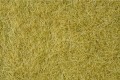 Noch 07101: Static Wild Grass, beige, 6 mm