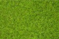 Noch 07102: Static Wild Grass, light green, 6 mm