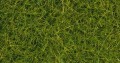 Noch 07114: Static Wild Grass XL, bright green 12 mm