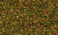 Noch 08330: Статическая трава: Цветущий луг
