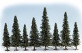 Noch 26320: 25 Model Fir Trees, 60-150