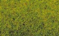 Noch 50210: Static Grass Spring Meadow